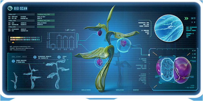 Snow Stalker Fruit Plant Ency.png