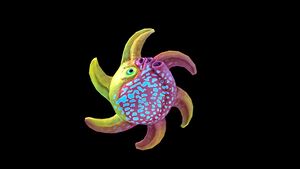 Spinnerfish 1.jpg