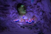 A Cave in the Safe Shallows.