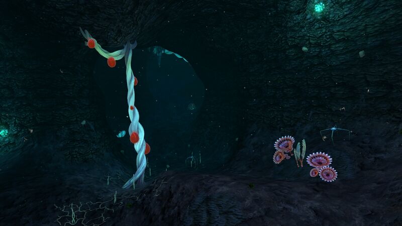 File:BloodKelpCaves2 1.jpg