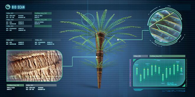 Fox3d-entertainment-fern-palm.jpg