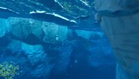 The Major Ice Canyon in the biome from an Underwater view