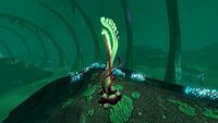 Some Ghost Weed in the Lost River