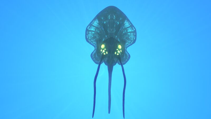 File:Reefback4.jpg