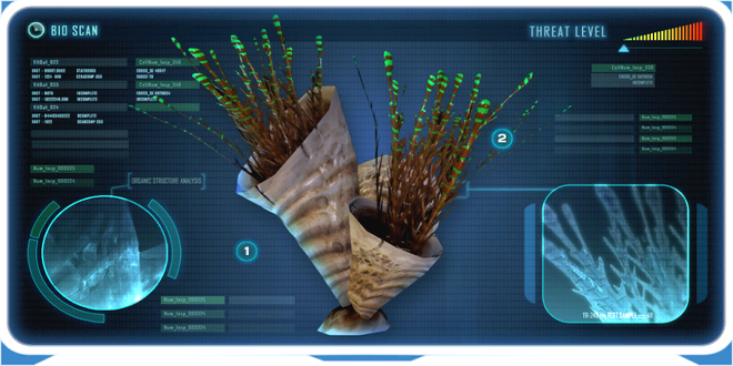 Spiked Horn Grass Data Bank Image.png