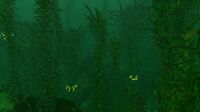 A view of the Dense Kelp Forest