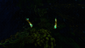 Thumbnail for version as of 17:06, 6 August 2021