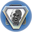 Dev Test Item Blueprint.png