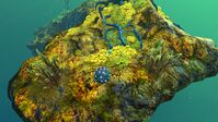 In the Lilypad Islands