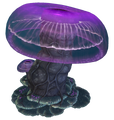 Thumbnail for version as of 22:46, 6 August 2021