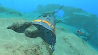 Safe Shallows Small Wreck 7