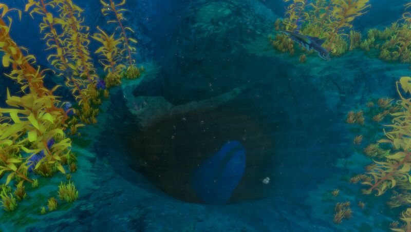 File:ArcticKelpCaves entrance.jpg