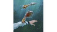Bleeder concept art