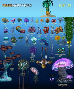 Flora List 1.jpg