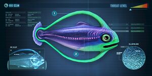 Hoopfish-0.jpg