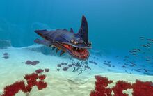 Life-form sandshark day.jpg