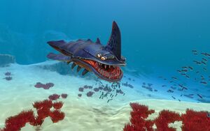 Life-form sandshark day.jpg
