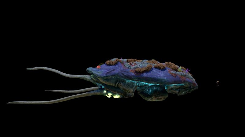 File:Reefback Size Reference.jpg