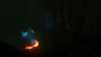An overview of one of the cave systems