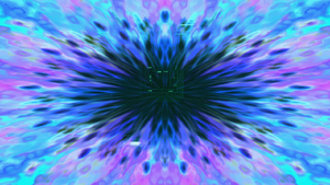 AquariumGalleryNew.png