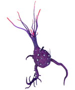Broken Mandrake Flora.png