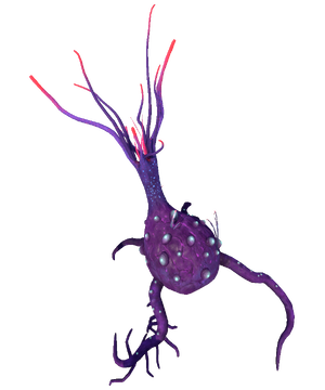 Broken Mandrake Flora.png