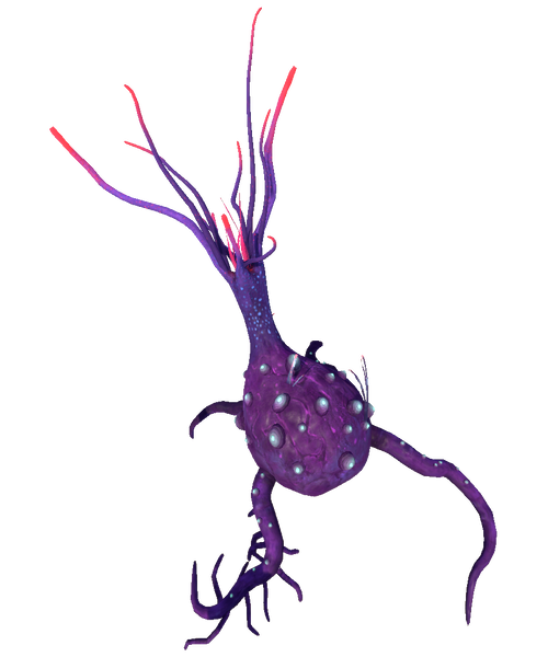 File:Broken Mandrake Flora.png