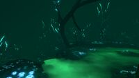 A drop off in the Ghost Forest