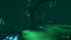 Ghostforest.jpg