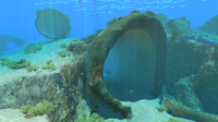 A huge Giant Coral Tube. These house many Limestone Outcrops