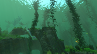 KelpForestTrue.png