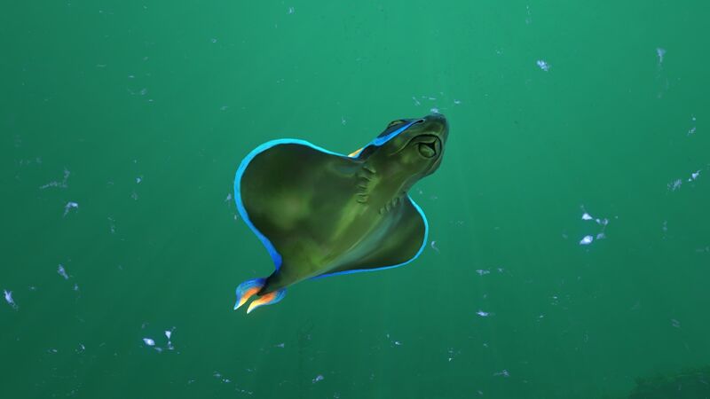 File:2016-02-11 00005.jpg