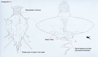 Early Ventgarden sketches - by Alex Ries