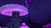 Another view of the Jelly Shroom Caves