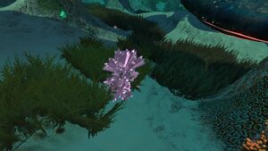 LargeLithium.jpg