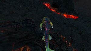 Lava Lizard 11.jpg