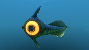 Peeper 10.jpg