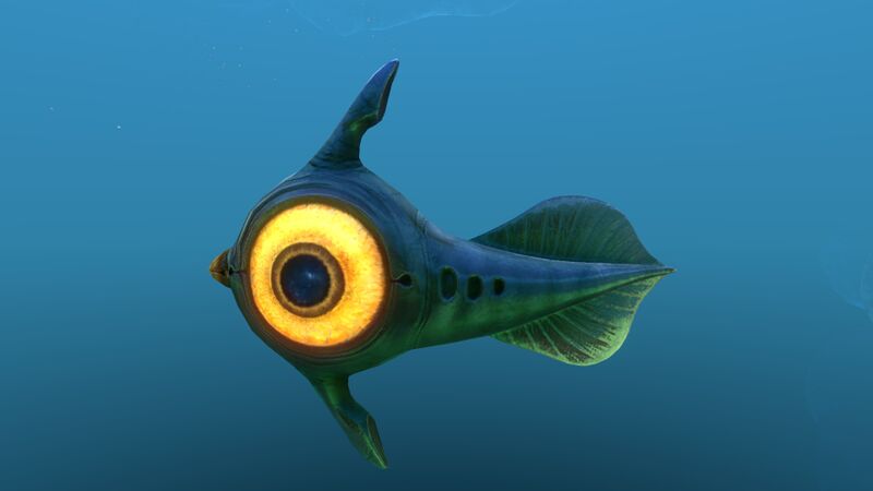File:Peeper 10.jpg