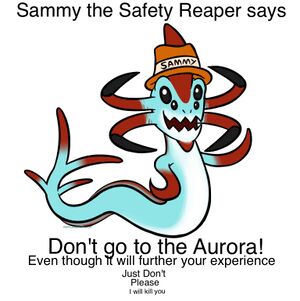 Sstsraurora.jpeg