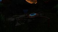 Ditto, at night