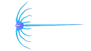 Jellyray (BZ).png