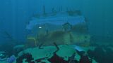 Wrecks (2).jpg