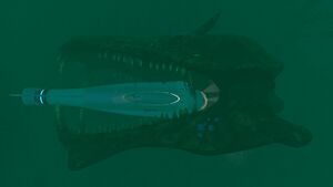 20160702185938 1.jpg