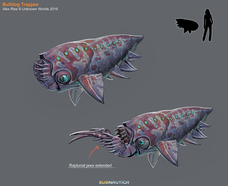 File:Alex-ries-alex-shark-bullldogtrapjaw.jpg