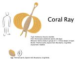 Coral Ray 2.jpg