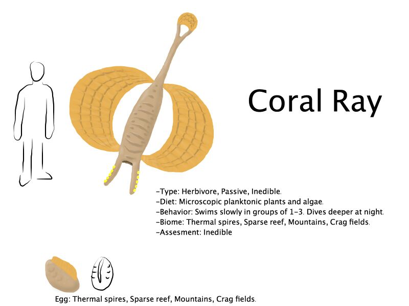 File:Coral Ray 2.jpg
