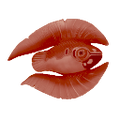 Thumbnail for version as of 18:32, 6 August 2021