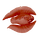 Cured Feather Fish Icon.png