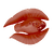Cured Feather Fish Icon.png