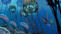Grand Reef's "Orb Field" - by Pat Presley